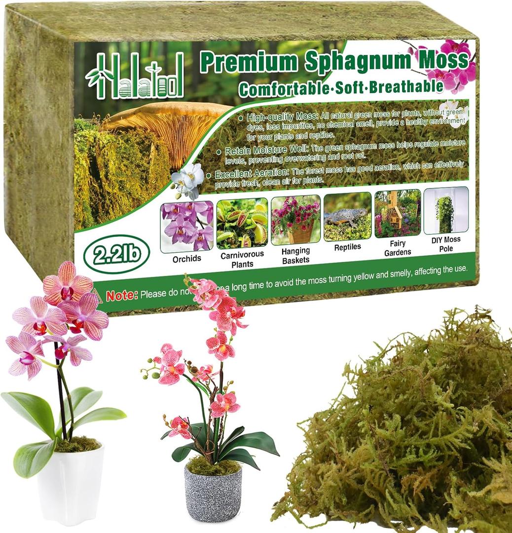 Halatool 2.2LB Premium Sphagnum Moss for Plants, 50QT Green Moss for Plants Indoor Potted Orchid Moss for Repotting Succulent Carnivorous Terrarium Gardening Reptiles