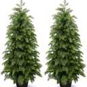 3ft Artificial Cedar Topiary Trees 2 Pack,Real Touch Cedar Tree Faux Plants Potted UV Resistant Evergreen Tree for Outdoor Indoor Door Garden Farmhouse Home Decoration