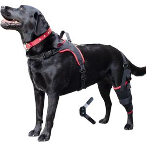 Dog Knee Brace with Harness Premium Support for Torn ACL, Hind Leg Injuries, Luxating Patella, Arthritis & Cruciate Ligament Care, Dog Leg Brace Back Leg - Left Med, Size M