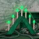 25 Pack C7 Replacement Christmas Light Bulb, Christmas Green Replacemen Bulb C7/E12 Base for Outdoor String Lights Window Candles Chandeliers Salt Lamp, 5 Watt