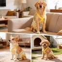 Female Dog Diapers 3 Pack Washable Dog Diapers Female Dog Diaper that Stay on Dog Diaper Female with Suspenders Reusable Doggie Diapers for Heat, Incontinence and Puppy Training (Large)