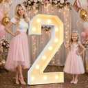Large 4FT Marquee Light Up Numbers 2 for Party Decorations