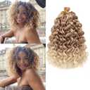 GoGo Curl Crochet hair 10inch Water Wave Crochet hair Ombre Synthetic Bohemian Crochet Braid Deep Wave Braiding hair Extensions (27/613, 10inch)