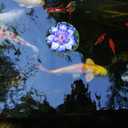 2 x 5pcs Summer Decor Lily Pads for Ponds, Artificial Lotus Fake Floating Lotus Flower Water Lily Pad Ornaments for Garden Pond Aquarium Pool Decoration 10cm