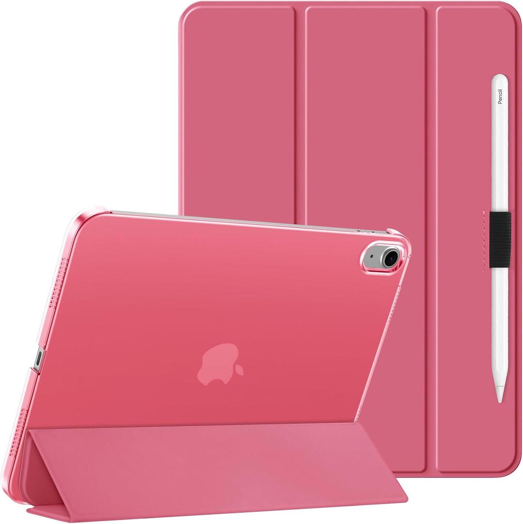 HGWALP Clear Case for iPad (A16) 11th Generation 11lnch (2025),iPad 10th Generation 10.9" (2022),Stand Cover with Hard Translucent Back, Support Touch lD,Auto Wake/Sleep&Stylus Holder-Watermelon Red