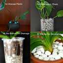 Natural 1-2CM Hard Chunky Perlite 10QT for Plants Horticultural Coarse Organic Pearlite Bulk Potting Mix Garden Soil Amendment for Enhanced Drainage and Ventilation for Orchid, Dendrobium, Araceae