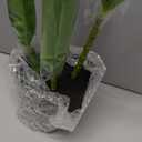 GeRRiT Artificial Plants and Flowers Artificial Green Plants Artificial Bird of Paradise Bonsai Artificial Cannabis Plant Bonsai New 1.8m 13-Leaf Bird of Paradise