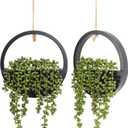 Floweroyal 2pcs Artificial Succulents Hanging Plants 12.2'' Fake String of Pearls in Pot with 8.3'' Lanyard for Indoor Outdoor Wall Decor (Black).