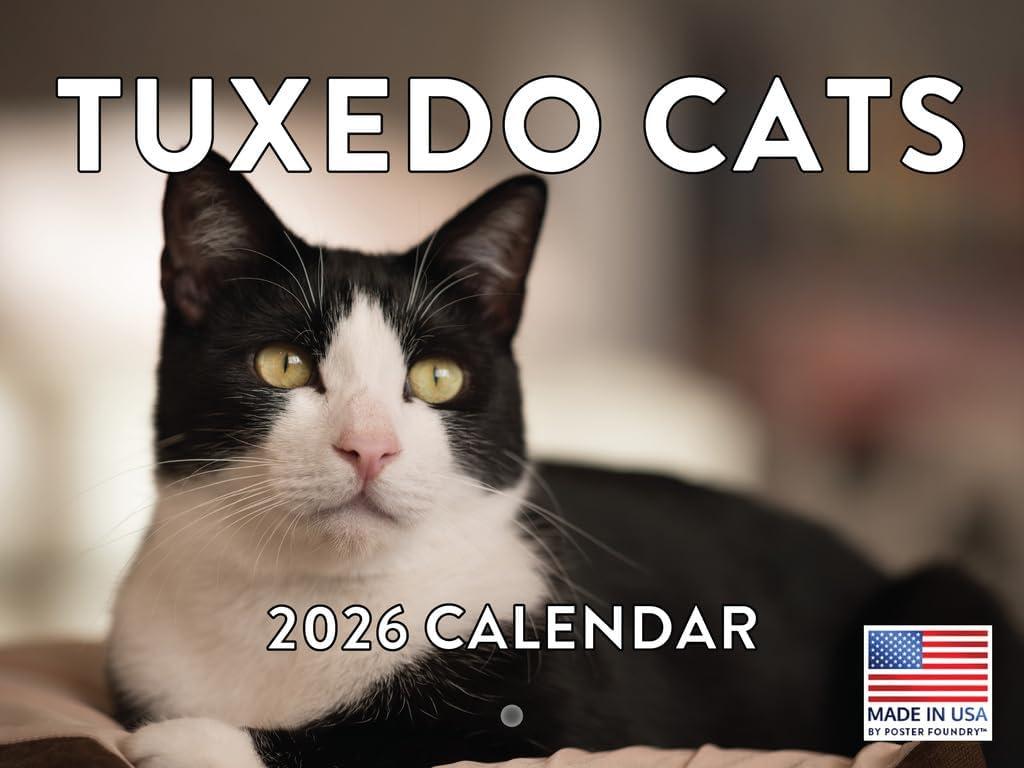 Tuxedo Cat Calendar 2026 Monthly Wall Calender 12 Month Gifts For Tuxedo Cats Lovers| American Made In The USA