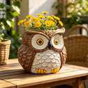Hand Painted Owl Planter, Owl Plant Pots with Drainage, Garden Succulent Flower Pot for Small Plants, Forest Bird Figurines Home office Decor for Desk Table shelf Patio, Gift for Women Plant Lovers