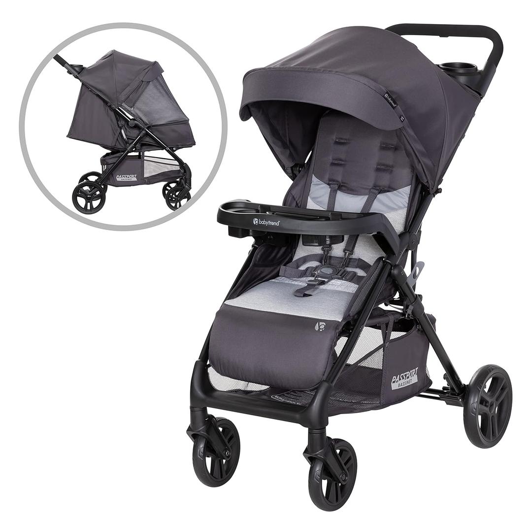 Baby Trend Passport Carriage Stroller, Silver Sky
