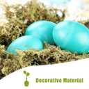 5 x Dried Forest Moss for Plants 5.3oz / 3qt, Green Orchid Sphagnum Moss, Long Fibered Dried Moss for Succulents Garden Flowers Pot and Reptiles