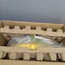 750W Air Blower, QILEBA 1HP Powerful Bounce House Blower for Inflatables, Portable Inflatable Bubble House Blower Fan Pump for Spray Booth, Bouncy Castle, Jumper, Water Slid, Blower Corded(750W)