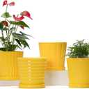 Ton Sin Plant Pots, 6 Inch Flower Pots for Plants,Ceramic Planter with Drainage Holes,Indoor Planter Pots with Saucer,Outdoor Garden Pots (Yellow, 3 Pack)