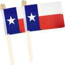 Texas State Flag Mini Small Handheld Stick Flags 4x6 Inch 12 Pack