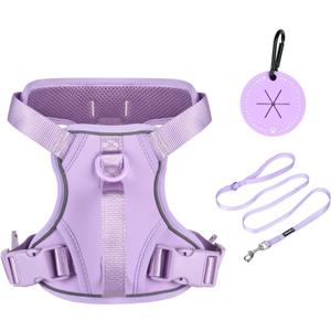 Petmolico Dog Harness for  Dogs, Cute Harness Vest with Two Leash Clips and Soft Handle, Reflective Easy Walk Puppy Vest - Light Purple, Small