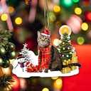 3 x American Shorthaired Technically Cat Ornament, Acrylic Christmas Tree Hanging, 2023 Funny Cat Lover Xmas Decoration