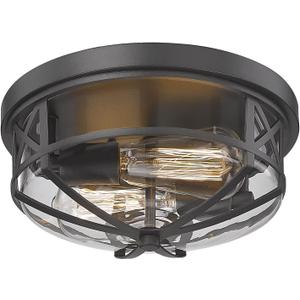 Darkaway Flush Mount Ceiling Light Fixtures Ceiling with Clear Glass Shade, Indoor Outdoor Ceiling Light for Hallway Entryway Bedroom Porch Kitchen 2-Light E26