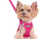Rabbitgoo Dog Harness Small Sized and Leash Set, Step in Soft Light Puppy Vest, Breathable Mesh Pet Harness, Reflective for Safe Easy Walking, Rose Red, XXS