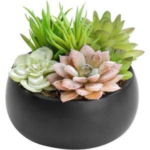 MyGift Mini Artificial Succulent in Pot, Fake Plant Arrangement in Black Ceramic Planter Bowl