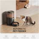 Automatic Cat Feeder: 3L Auto Food Dispenser with Timed Feeding| 6 Meal Programmable& 1-20 Portion Precise Control- Easy to Clean & Setup for Cat Indoor| Desiccant Bag Keep Food Fresh