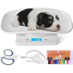 Pet Scale