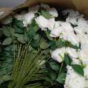 Riceshoot 500 Pcs Artificial Silk Roses Flowers with Long Stem Bridal Wedding Bouquet Realistic Floral Bulks for Garden Home Party Gifts Favor Decoration(White)