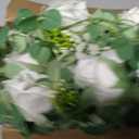 Dolicer 4Pcs 26Ft Artificial Eucalyptus Garlands with Flowers - 8 Roses, Faux Floral Greenery Garlands Fake Flowers Vines for Wedding Table Centerpieces Arch Party Ceremony Backdrop Decor (White)