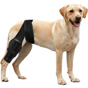 Dog ACL Brace Hind Leg, Dog Knee Brace for Front Torn and Back Hind Rear Leg ACL Tear,Hip Dysplasia, Dog Arthritis and Luxating Patella, Adjustable and Comfortable (Large)