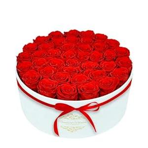 40 Forever Flowers in a Luxury Suede Box, Preserved Roses Birthday Gifts for Women, Romantic Anniversary Wedding Gifts for Women Her Girlfriend Wife, Red