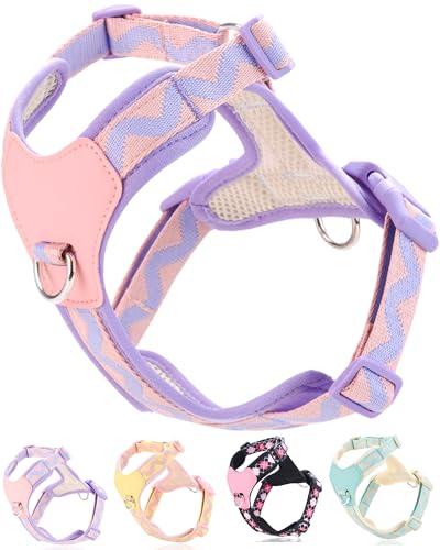 Petank Purple xs Dog Harness for Small Dogs, No Pull Dog Harness with 2 Leash Clips, Puppy Harness, Adjustable Dog Vest Harness (Purple, XS)