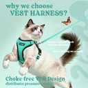 rabbitgoo Cat Harness and Leash for Walking, Escape Proof Soft Adjustable Vest Harnesses for Cats, Easy Control Breathable Reflective Strips Jacket, Emerald, M