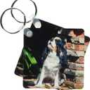 3dRose - Danita Delimont - Dogs - Cavalier King Charles Spaniel Puppy howing - Key Chains (kc-258151-1)