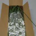 Waipfaru 30 Pcs Babys Breath Artificial Flowers, Baby Breath Flowers Artificial Bulk, Real Touch White Fake Flowers, Faux Babies Breath Gypsophila for Wedding Home Decor Floral Arrangement