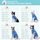 2-Pack Small Dog Surgery Recovery Suit Female/Male, Post Surgery Protective Wear with Pee Hole, Unisex Pet Surgical Vest for Wound Care, Spay/Neuter Healing (Blue+Pink)