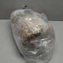 3x10 Runner Rug Non Slip Washable for Entryway, Front Porch, Vintage Hallway Runner for Laundry Room, Bedroom, Stain Resistant Thin Indoor Kitchen Mats for Floor(Orange,3'x10')