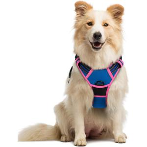 rabbitgoo Dog Harness No Pull with 2 Leash Clips, Adjustable Soft Padded, Reflective Oxford No Choke Pet Vest with Easy Control Handle for Large Dogs, Blue & Hot Pink, M