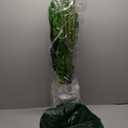 Artificial Tree-Faux Plants Indoor Outdoor- Keloteven 5FT Artificial Monstera Fake Tall Tree 16 Leaves - Artificial Plants for Home Decor, Office, Living Room and Pito Decoration, MD145