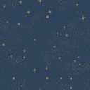 RoomMates RMK11319WP Upon A Star Navy and Metallic Peel and Stick Wallpaper, 16"L x 5"W