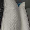 DreamyBlue Signature Pillow w/Adjustable Loft  Shredded Memory Foam Fill  Neutral Alignment for Side, Back, and Stomach Sleepers  Washable Bamboo Rayon Cover  CertiPUR-US Certified Foam (Queen) (Queen (Pack of 1))