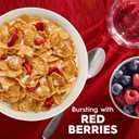 Kellogg's Special K Breakfast Cereal, Family Breakfast, Fiber Cereal, Family Size, Red Berries (3 Boxes) (EXP 11/20/26)