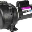 WAYNE WLS200 - 2 HP Cast Iron High Volume Lawn Sprinkling Pump - Up to 4,200 Gallons Per Hour - Heavy Duty Outdoor Pump for Sprinkler Systems