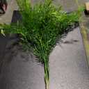 Vickerman 19" Podocarpus Bush UV Coated