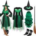 Witch Costume Set with Witch Hat, Cosplay Wig, Dress, Broom, Shoe Covers for Women Halloween Dress up (Large, Green)