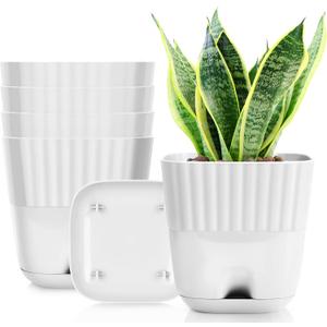 5 inch Square Plant Pot for Small Indoor Plants, Plastic White Flower Pots with Drainage Holes and Connecting Saucers, Decorative Garden Pots for Herb,Aloe,Cactus, Succulents (Pack of 5) (4.7'' (5 pcs))