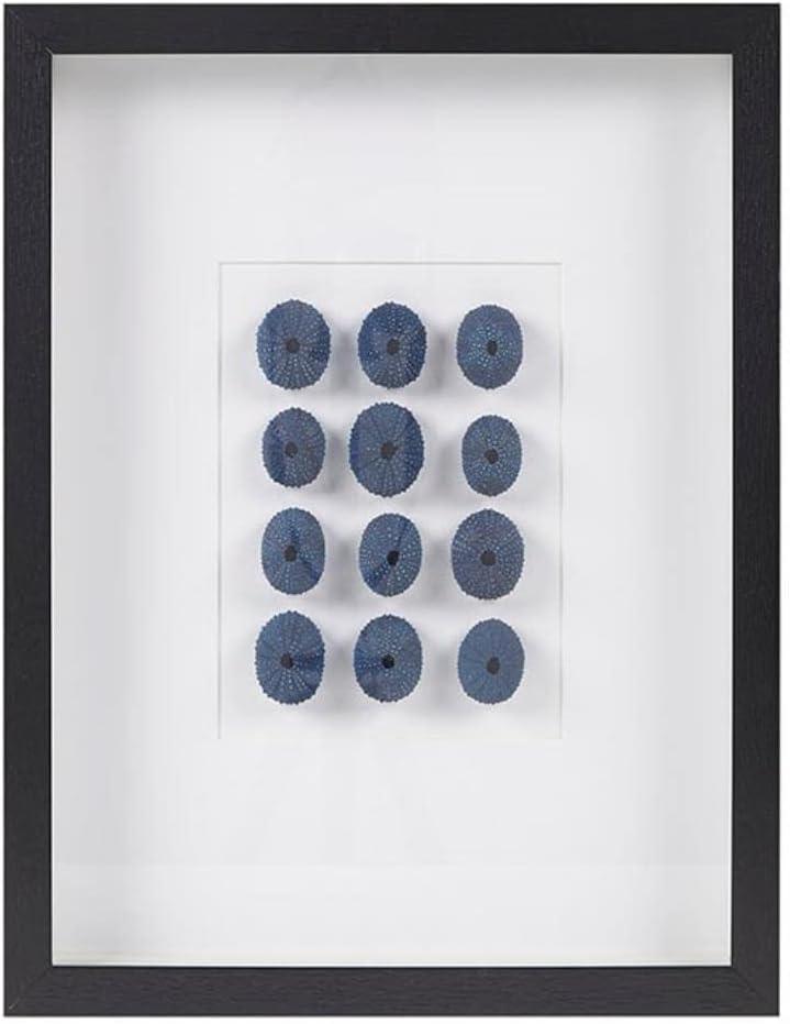 INK+IVY Indigo Shells Wall Dcor Natural Sea Urchin, Glass Framed Art for Living Room Entryway Home Accent, Ready to Hang Bedroom Decoration, 15.75" W x 19.69" H x 1.97" D, Blue MT95B-0065