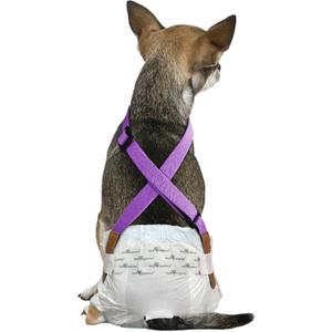 Paw Inspired Dog Diaper Suspenders with Velcro Fasteners | Stretchy Adjustable Suspenders for Female and Male Disposable and Washable Diapers | Fits Small, Medium and Large Size Pets (XS/S, Purple)