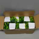 Unittype 12 Pcs Fake Plants Small Artificial Faux Plants for Shelf Mini Plastic Potted Greenery for Home Office Desk Bathroom Bedroom Indoor Decor(White Pot,Green)