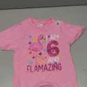 I Am 6 And Flamazing T-Shirt Amazing 6th Birthday Flamingo T-Shirt XS