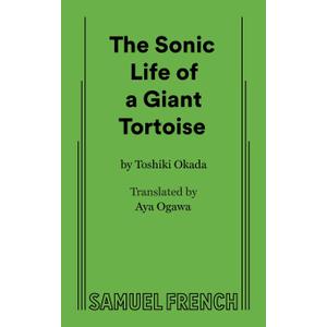 Sonic Life of a Giant Tortoise, A